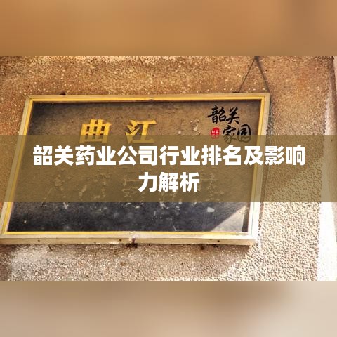 韶关药业公司行业排名及影响力解析