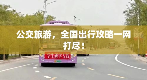 公交旅游，全国出行攻略一网打尽！