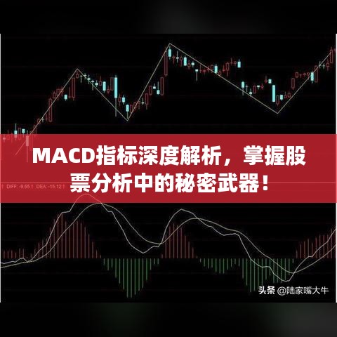 MACD指标深度解析，掌握股票分析中的秘密武器！