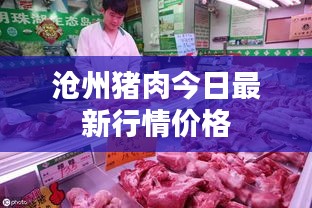 沧州猪肉今日最新行情价格