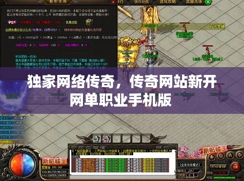 独家网络传奇，传奇网站新开网单职业手机版 