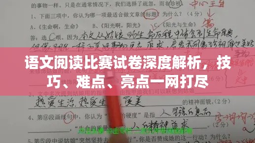 语文阅读比赛试卷深度解析，技巧、难点、亮点一网打尽