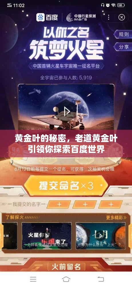 黄金叶的秘密，老道黄金叶引领你探索百度世界