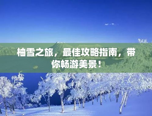 联系我们 第9页