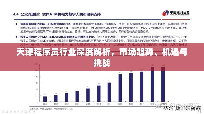 天津程序员行业深度解析，市场趋势、机遇与挑战