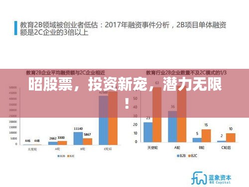 昭股票，投资新宠，潜力无限！