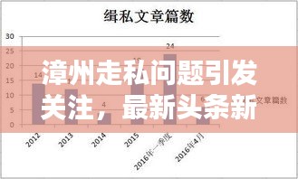 漳州走私问题引发关注，最新头条新闻分析