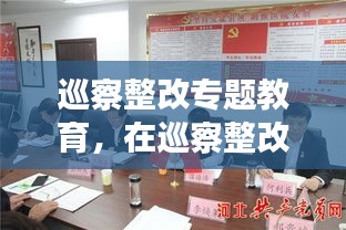 巡察整改专题教育，在巡察整改专题会议上的发言 