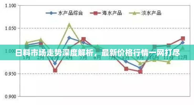 日料市场走势深度解析，最新价格行情一网打尽