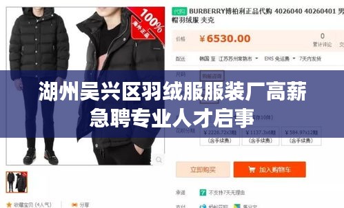 湖州吴兴区羽绒服服装厂高薪急聘专业人才启事