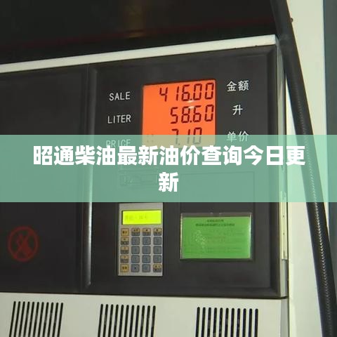 昭通柴油最新油价查询今日更新