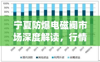 宁夏防爆电磁阀市场深度解读，行情、趋势与前景分析