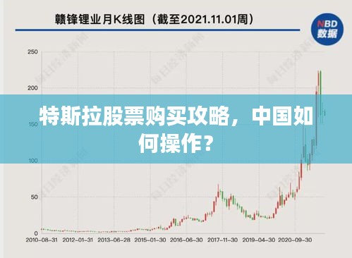 特斯拉股票购买攻略，中国如何操作？