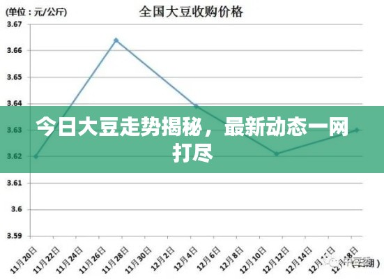 今日大豆走势揭秘，最新动态一网打尽