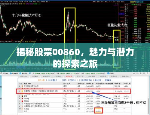 揭秘股票00860，魅力与潜力的探索之旅