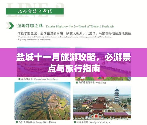 盐城十一月旅游攻略，必游景点与旅行指南