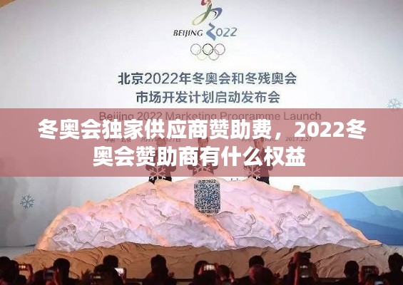 冬奥会独家供应商赞助费，2022冬奥会赞助商有什么权益 