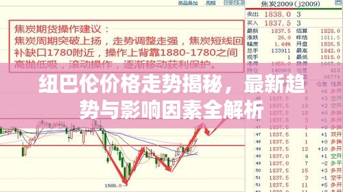 纽巴伦价格走势揭秘，最新趋势与影响因素全解析