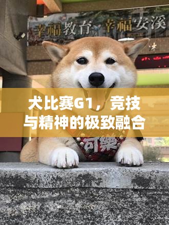 犬比赛G1，竞技与精神的极致融合