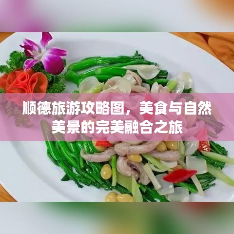 顺德旅游攻略图，美食与自然美景的完美融合之旅