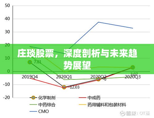 庄琰股票，深度剖析与未来趋势展望