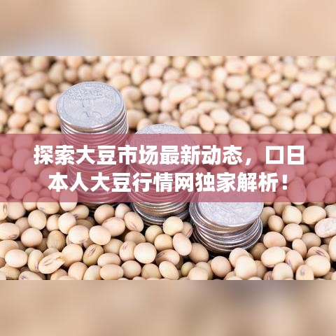 探索大豆市场最新动态，口日本人大豆行情网独家解析！