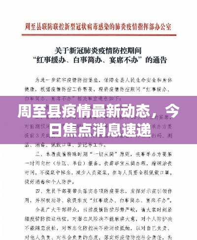 周至县疫情最新动态，今日焦点消息速递