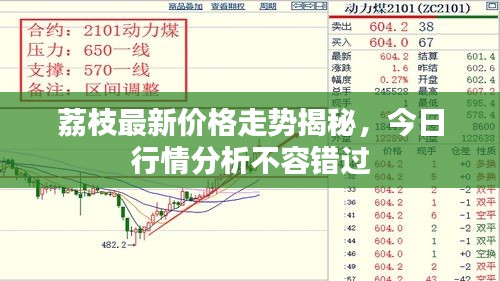 荔枝最新价格走势揭秘，今日行情分析不容错过