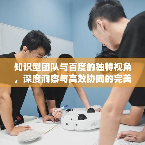 知识型团队与百度的独特视角，深度洞察与高效协同的完美结合