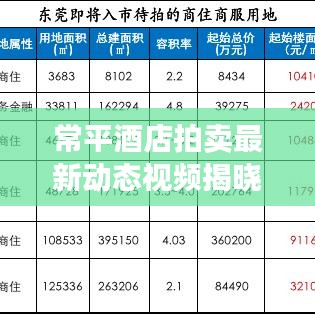 常平酒店拍卖最新动态视频揭晓！