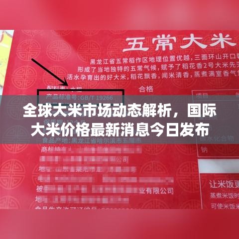 全球大米市场动态解析，国际大米价格最新消息今日发布