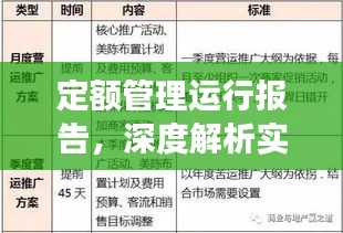 定额管理运行报告，深度解析实施成效与问题