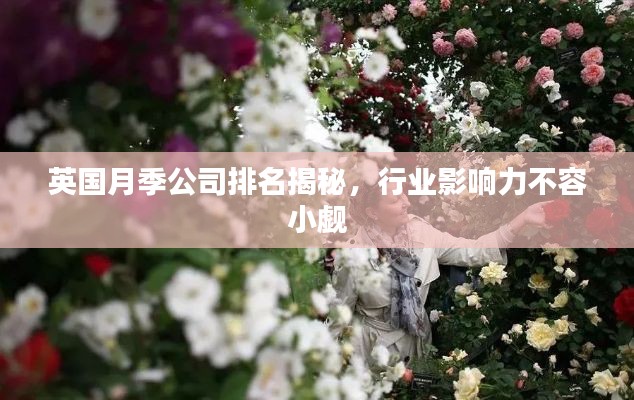 英国月季公司排名揭秘，行业影响力不容小觑