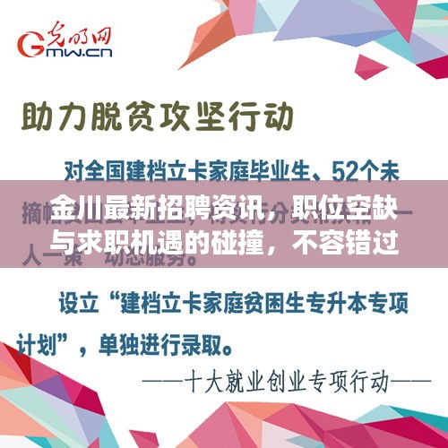 金川最新招聘资讯，职位空缺与求职机遇的碰撞，不容错过的交汇点！