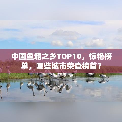 中国鱼塘之乡TOP10，惊艳榜单，哪些城市荣登榜首？