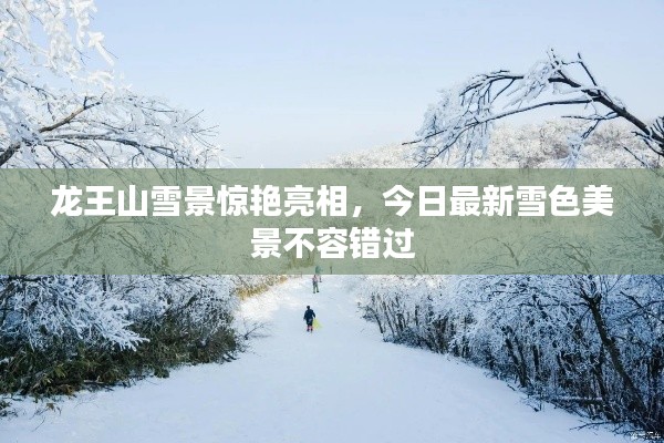 龙王山雪景惊艳亮相，今日最新雪色美景不容错过