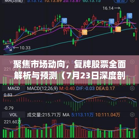 聚焦市场动向，复牌股票全面解析与预测（7月23日深度剖析）