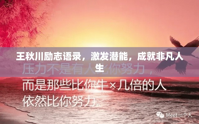 王秋川励志语录，激发潜能，成就非凡人生