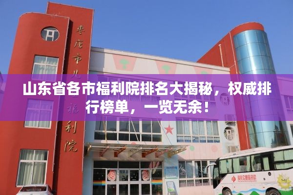 山东省各市福利院排名大揭秘，权威排行榜单，一览无余！