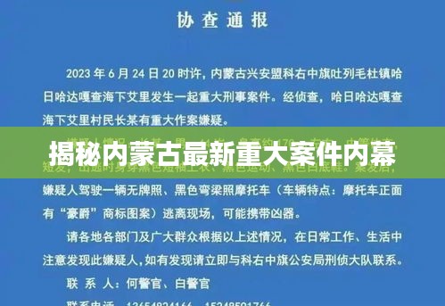 揭秘内蒙古最新重大案件内幕