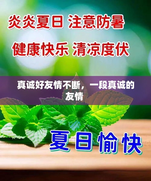 真诚好友情不断，一段真诚的友情 