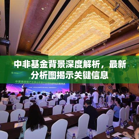 中非基金背景深度解析，最新分析图揭示关键信息