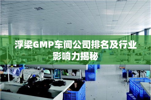 浮梁GMP车间公司排名及行业影响力揭秘