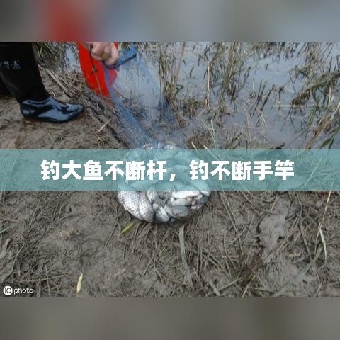 钓大鱼不断杆，钓不断手竿 