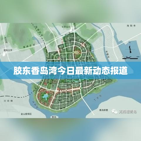 胶东香岛湾今日最新动态报道