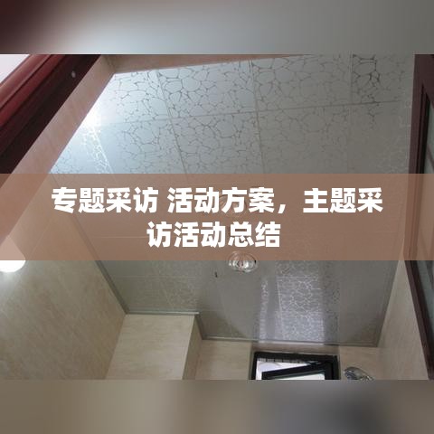 专题采访 活动方案，主题采访活动总结 