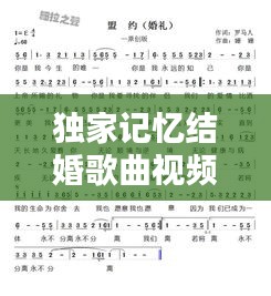 独家记忆结婚歌曲视频，歌词独家记忆 