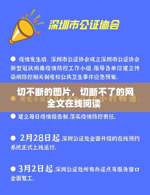 切不断的图片，切断不了的网全文在线阅读 