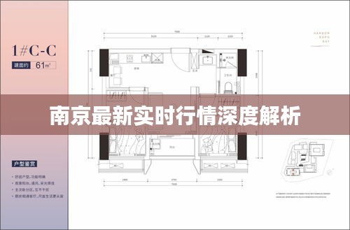 南京最新实时行情深度解析