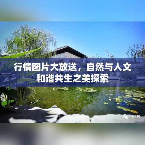 行情图片大放送，自然与人文和谐共生之美探索